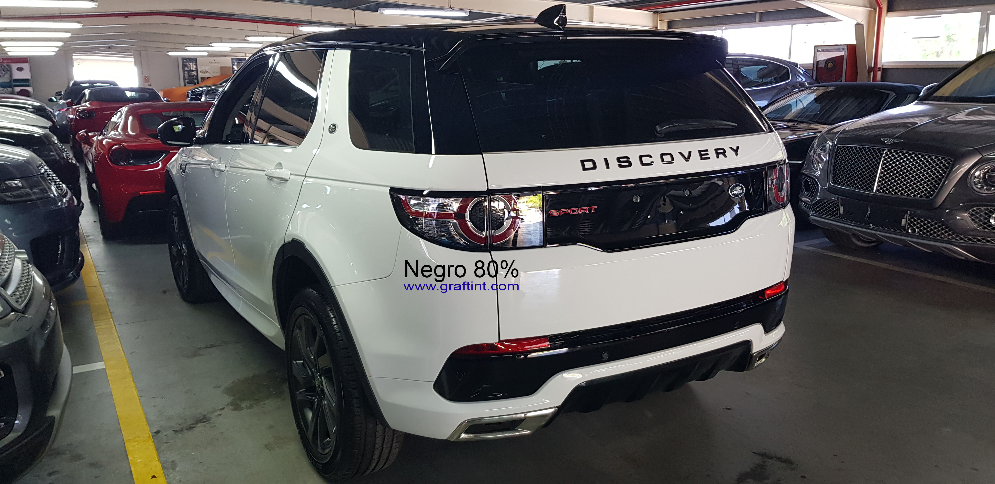 Discovery Sport - 80% (4)