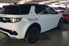 Discovery Sport - 80% (2)